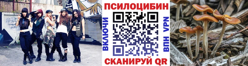 купить наркотик  Асбест  Галлюциногенные грибы мухоморы 